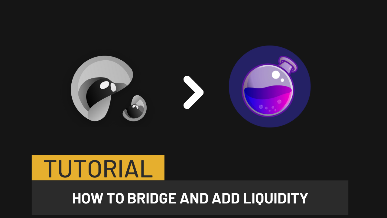 This video will explain how to bridge and add liquidity qAssets.